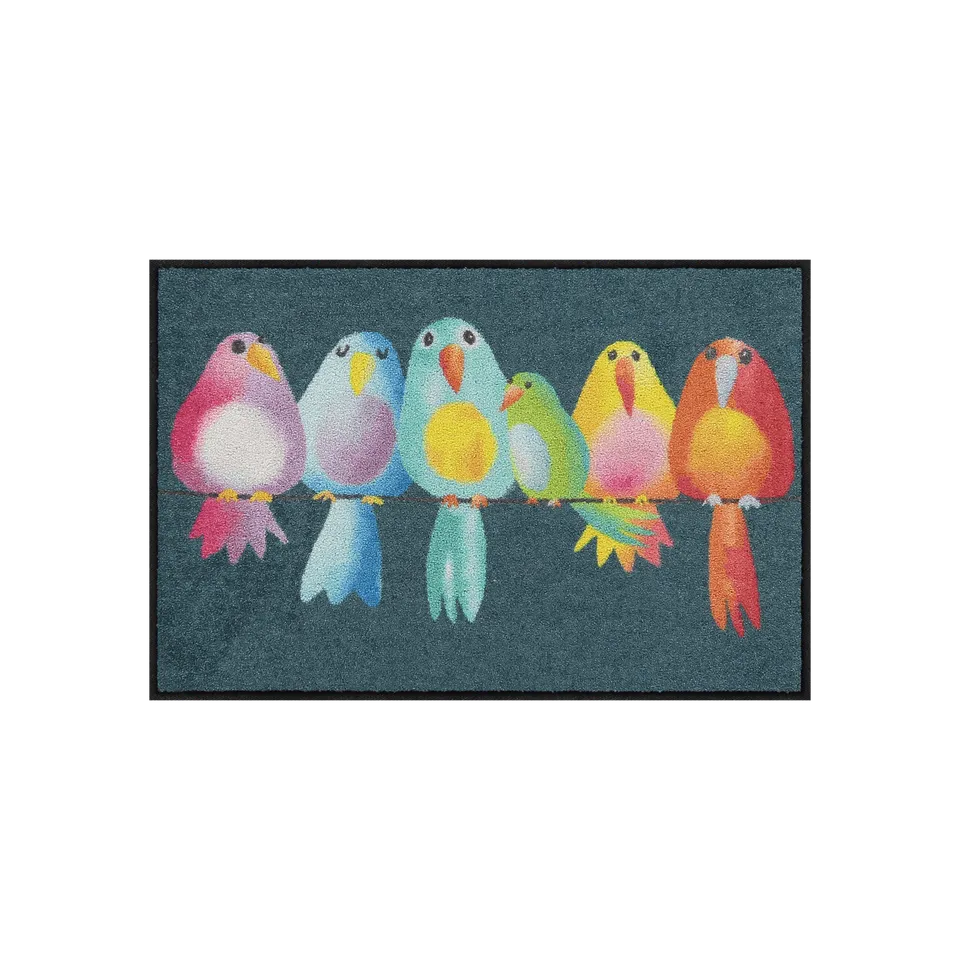 salonloewe-fussmatte-rainbow-birds-eingangsmatte-50-x-75-cm-waschbar-bunt image 1