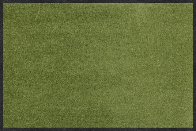 salonloewe-salbei-l-ufer-40-x-60-cm-waschbare-fu-matte-rutschfest image 1