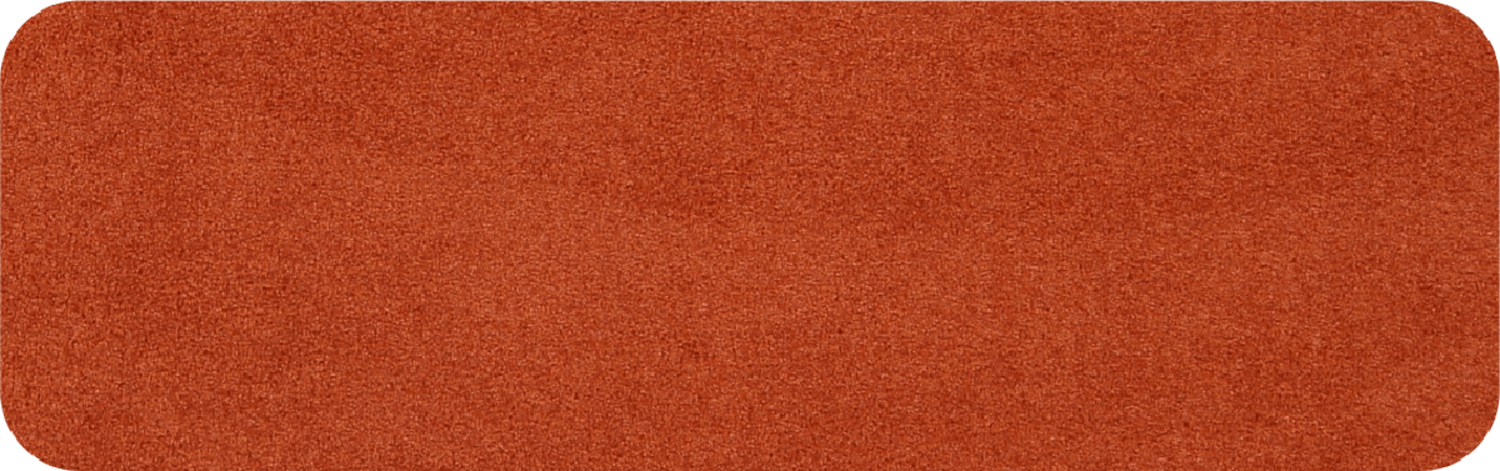 salonloewe-cayenne-halb-rund-30-x-100-cm-halbrunde-waschbare-fu-matte-in-terrako image 1