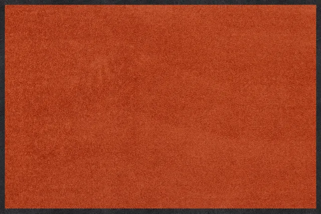 salonloewe-cayenne-halb-rund-40-x-60-cm-waschbare-fu-matte-in-terrakotta image 1