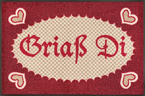 wash-dry-fu-matte-gria-di-50x75-cm-mehrfarbig-waschbar image 6