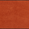 salonloewe-salbei-l-ufer-40-x-60-cm-waschbare-fu-matte-rutschfest image 7