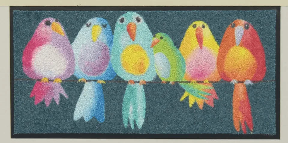 salonloewe-fussmatte-rainbow-birds-eingangsmatte-30-x-60-cm image 1