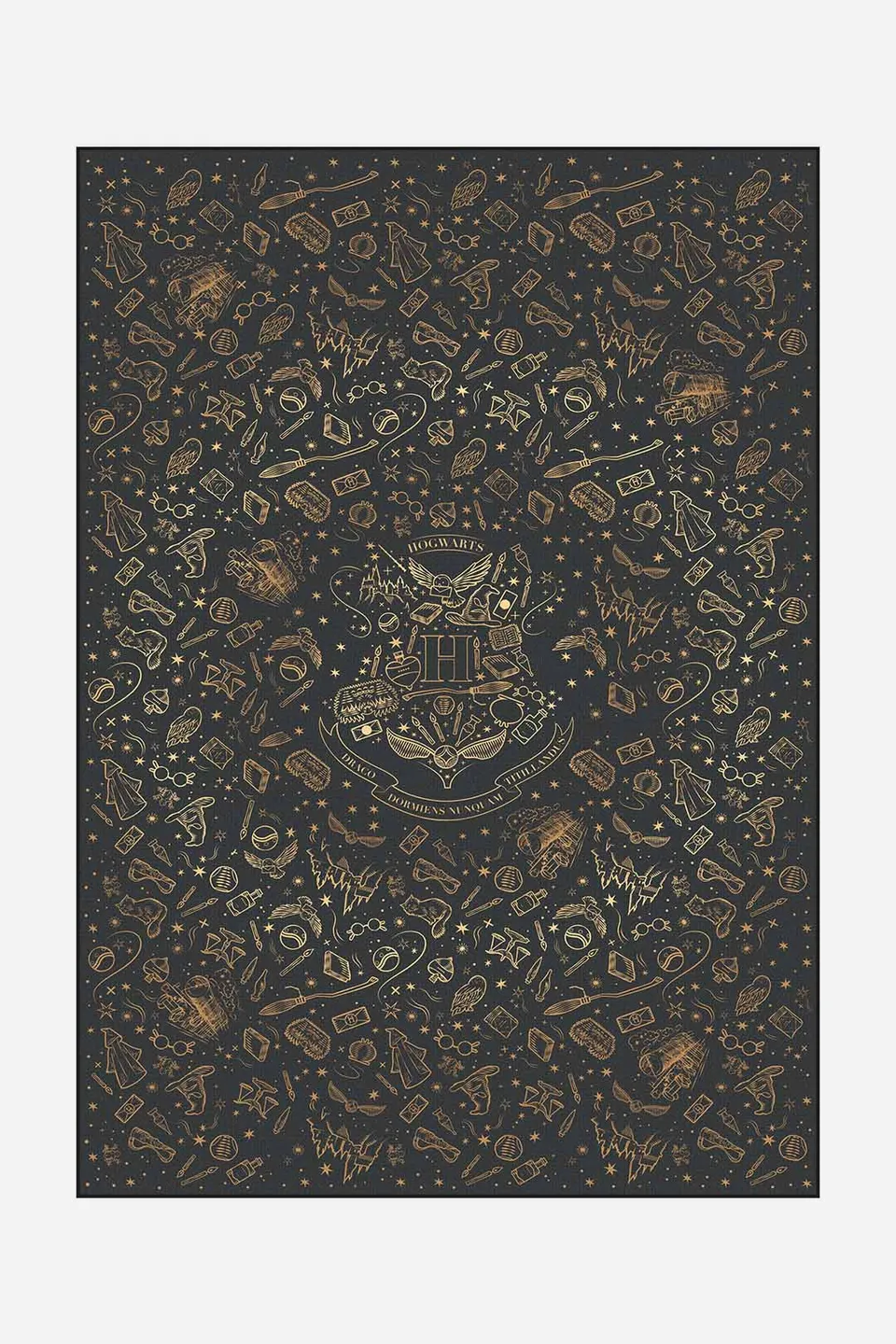 teppana-harry-potter-hogwarts-gold-waschbarer-kinder-teppich image 1