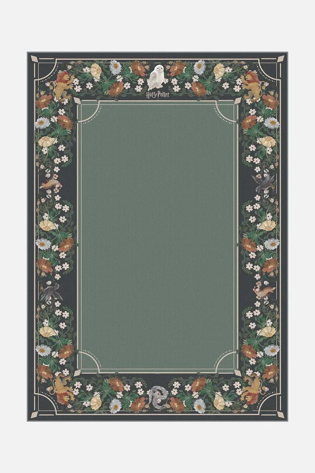 teppana-harry-potter-florensia-moos-teppich-waschbarer-fan-teppich-63-15-statt-1 image 1