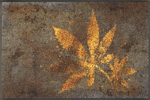 wash-dry-design-fu-matte-herb-blend-50x75-cm-bunt image 7