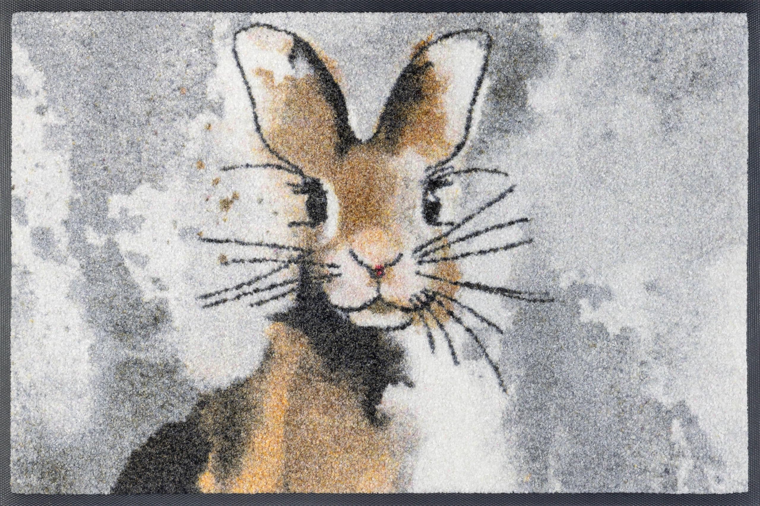 wash-dry-fu-matte-hopps-50x75-cm-braun-waschbar image 6