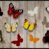 salonloewe-finn-anthrazit-eingangsmatte-50-x-75-cm-modernes-grafisches-design image 7