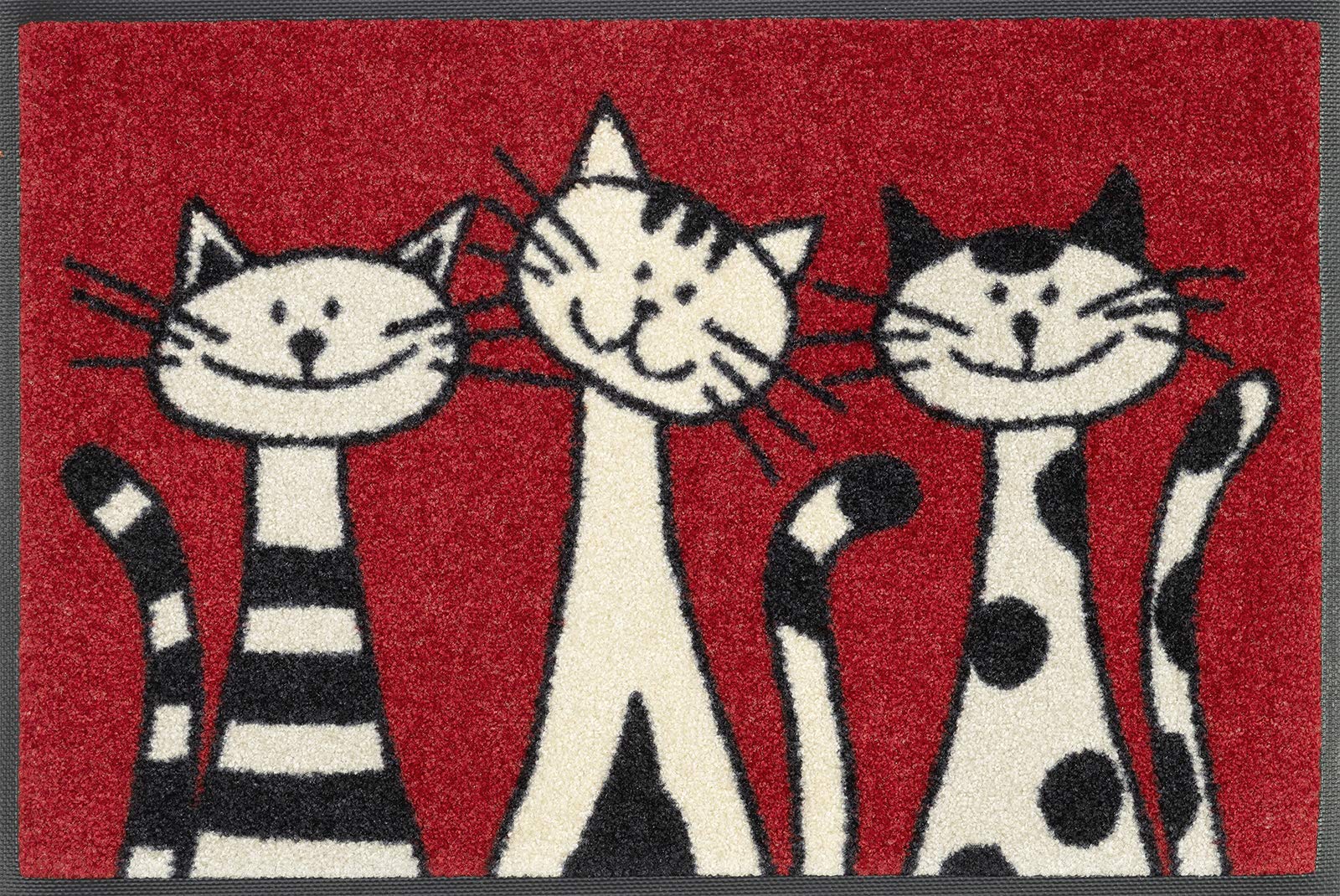 wash-dry-fu-matte-three-cats-50x75-cm-waschbare-design-sauberlaufmatte-mit-katze image 6