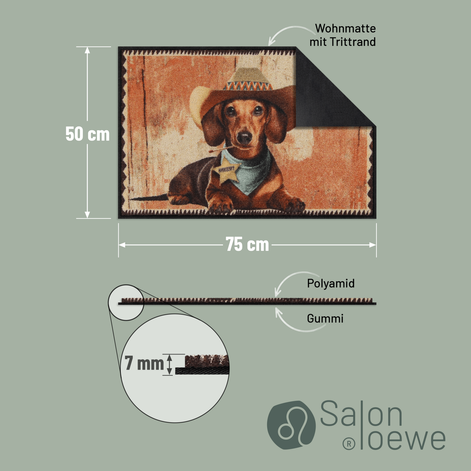 salonloewe-deputy-eingangsmatte-50-x-75-cm image 4