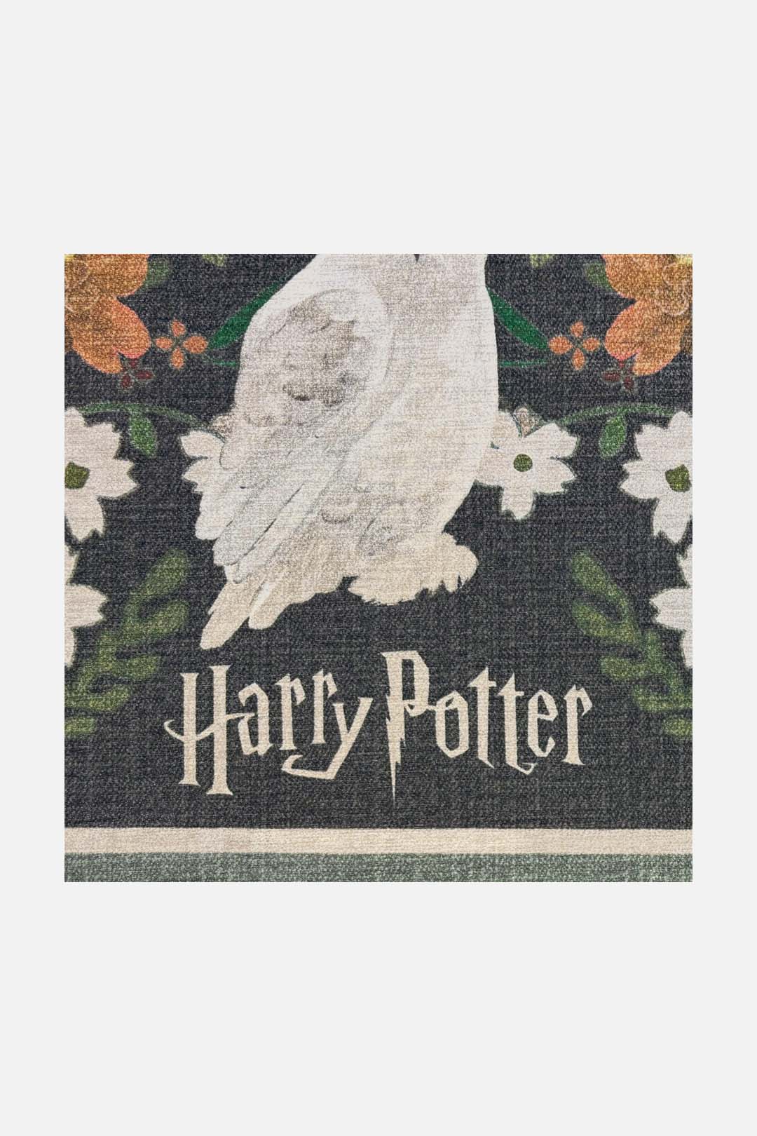 teppana-harry-potter-florensia-moos-teppich-waschbarer-fan-teppich-63-15-statt-1 image 3