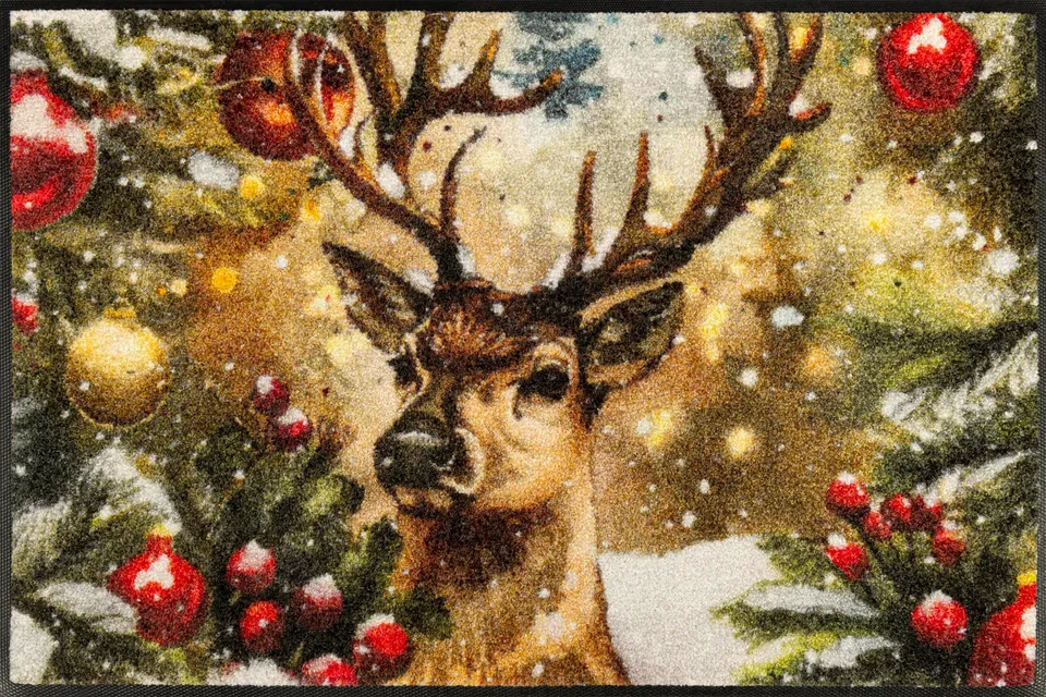 wash-dry-festive-spirit-fu-matte-50x75-cm-waschbar-f-r-innen-und-au-en image 1