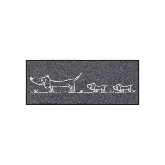 salonloewe-hereingedackelt-eingangsmatte-30-x-75-cm image 1