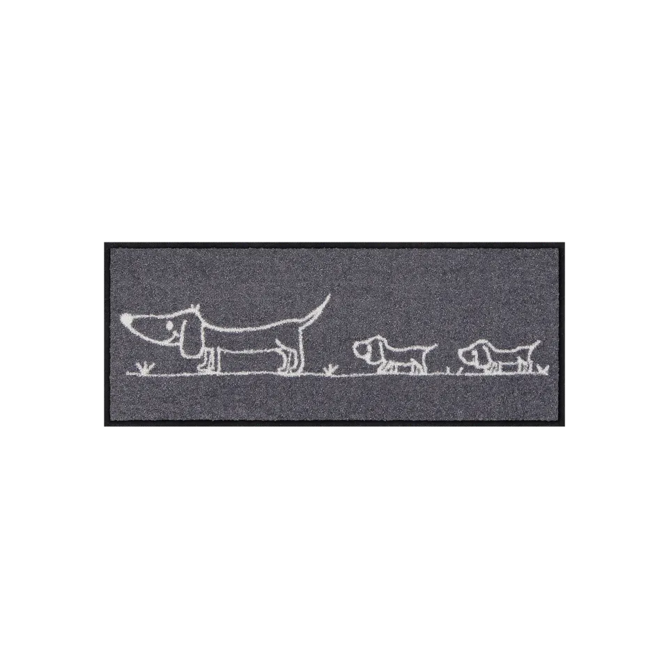salonloewe-hereingedackelt-eingangsmatte-30-x-75-cm image 1