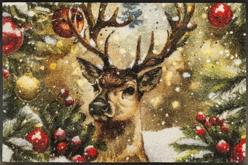 wash-dry-festive-spirit-fu-matte-50x75-cm-waschbar-f-r-innen-und-au-en image 6