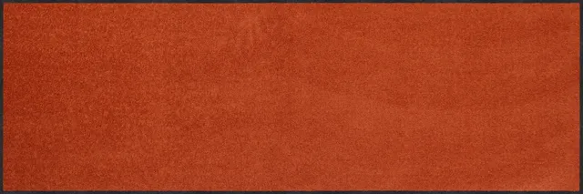 salonloewe-cayenne-halb-rund-60-x-180-cm image 1