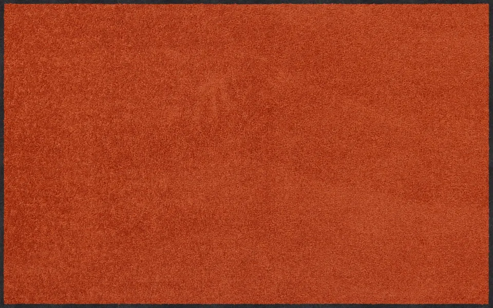 salonloewe-cayenne-halb-rund-75-x-120-cm-waschbare-fu-matte-terrakotta image 1