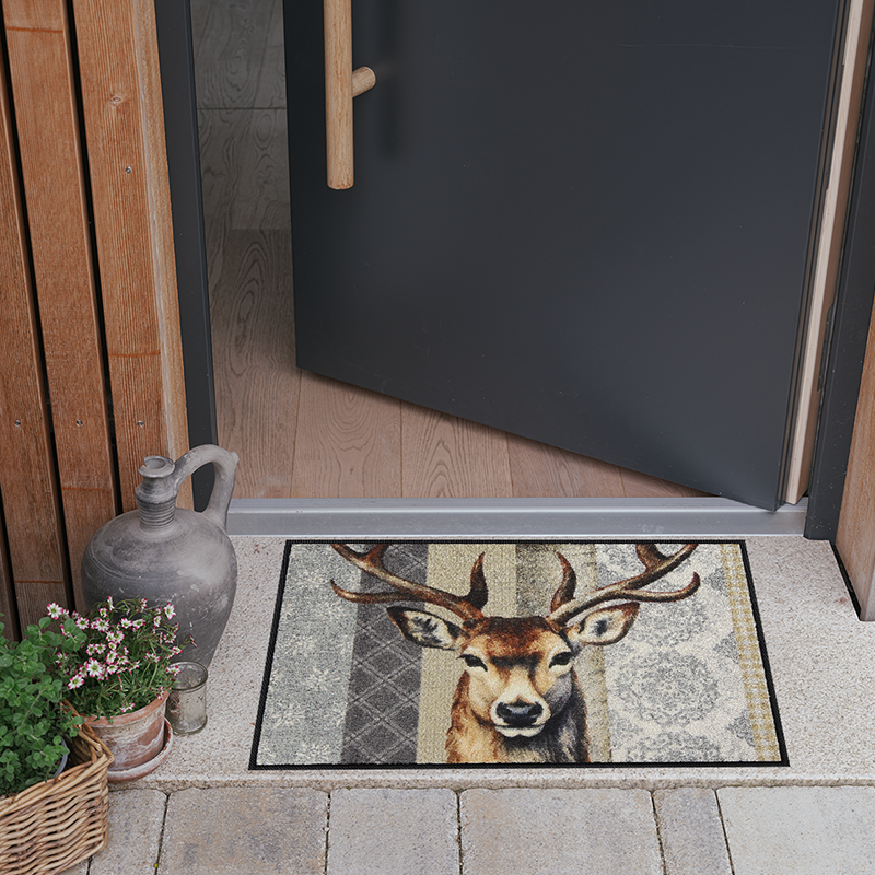 salonloewe-woodland-king-eingangsmatte-50-x-75-cm-waschbar-rutschfest image 2