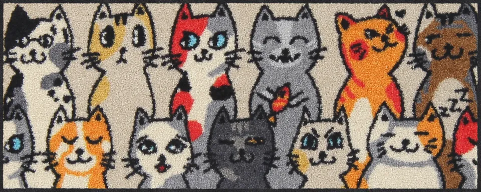 salonloewe-kitty-people-eingangsmatte-30-x-75-cm-schmale-waschbare-fu-matte-mit- image 1
