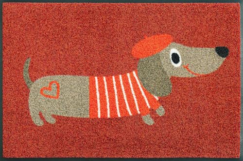 wash-dry-fu-matte-monsieur-chien-50x75-cm-waschbare-sauberlaufmatte-f-r-innen-un image 6