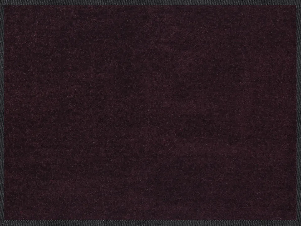 salonloewe-pflaume-halb-rund-60-x-85-cm-halbrunde-fu-matte-in-pflaume image 1