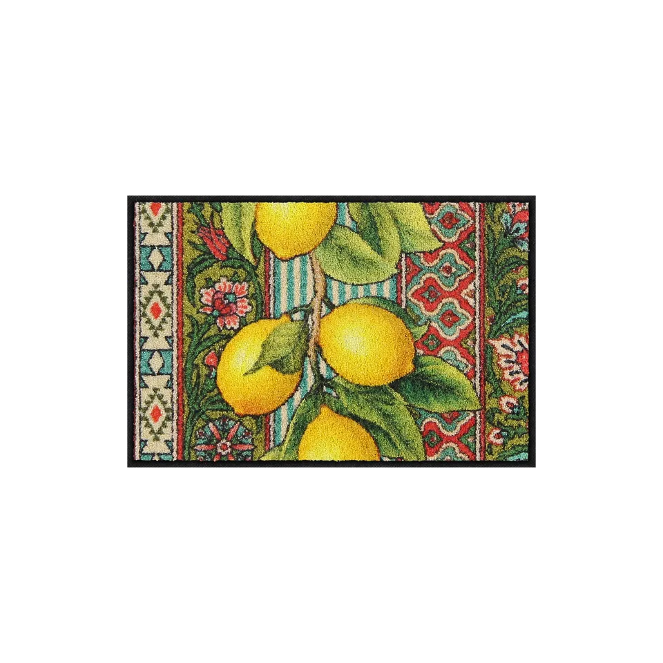 salonloewe-doni-preziosi-eingangsmatte-40-x-60-cm-waschbare-schmutzfangmatte-kaf image 1