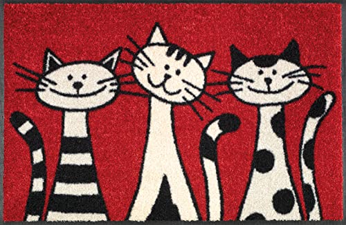 wash-dry-fu-matte-three-cats-50x75-cm-waschbare-design-sauberlaufmatte-mit-katze image 7