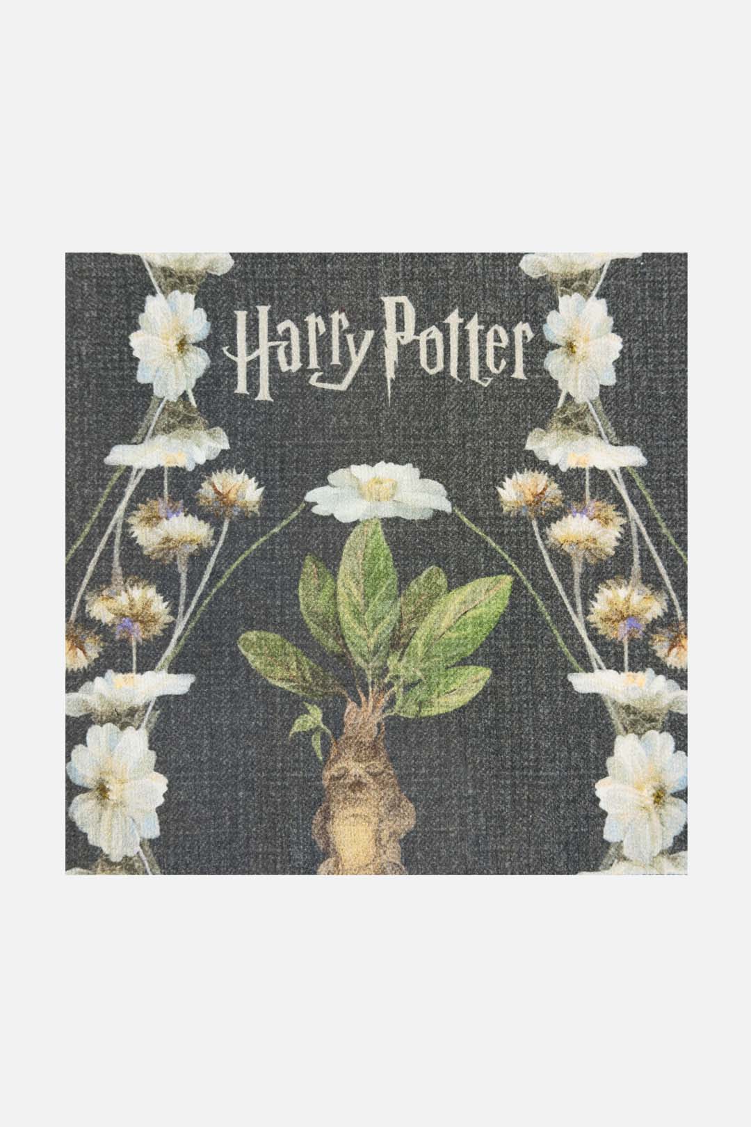 teppana-harry-potter-alraune-basalt-teppich image 7