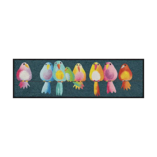 salonloewe-fussmatte-rainbow-birds-eingangsmatte-30-x-100-cm-bunte-schmutzfangma image 1