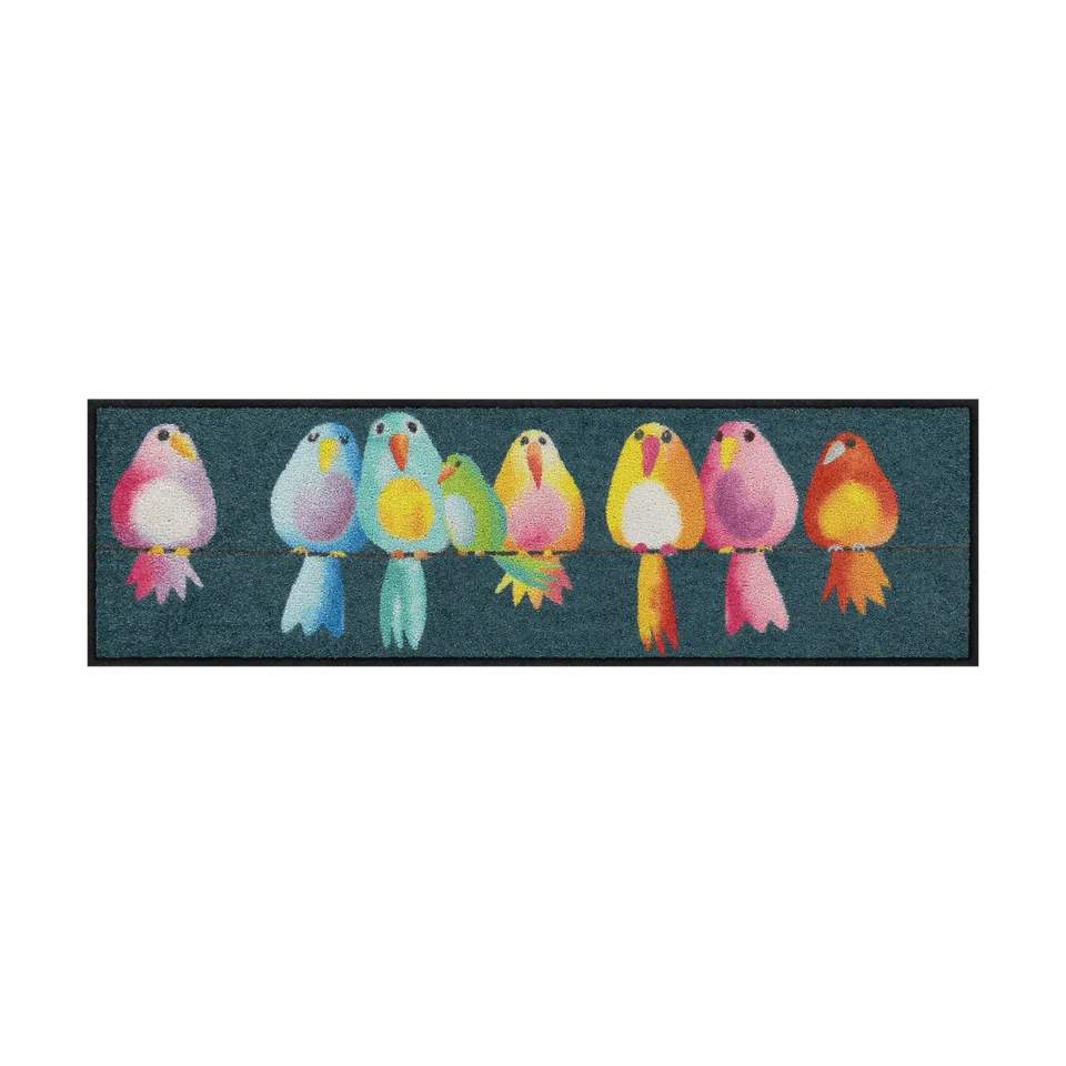 salonloewe-fussmatte-rainbow-birds-eingangsmatte-30-x-100-cm-bunte-schmutzfangma image 1