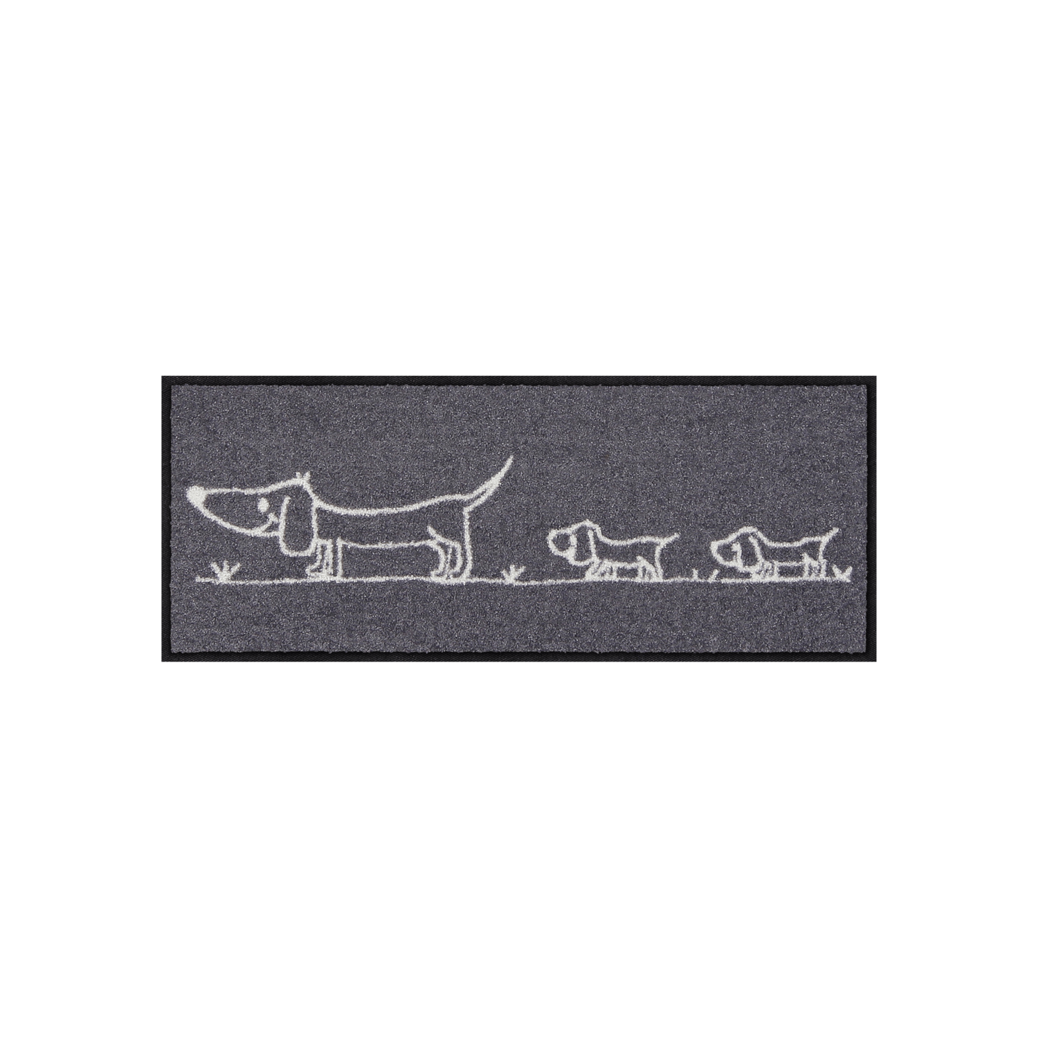 salonloewe-hereingedackelt-eingangsmatte-30-x-75-cm image 1