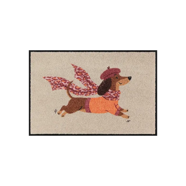 salonloewe-sandy-candy-eingangsmatte-50-x-75-cm-made-in-germany-herbstkollektion image 1