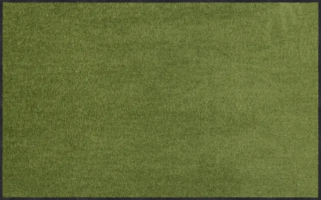 salonloewe-salbei-l-ufer-75-x-120-cm-minimalistischer-gr-ner-l-ufer-made-in-germ image 1