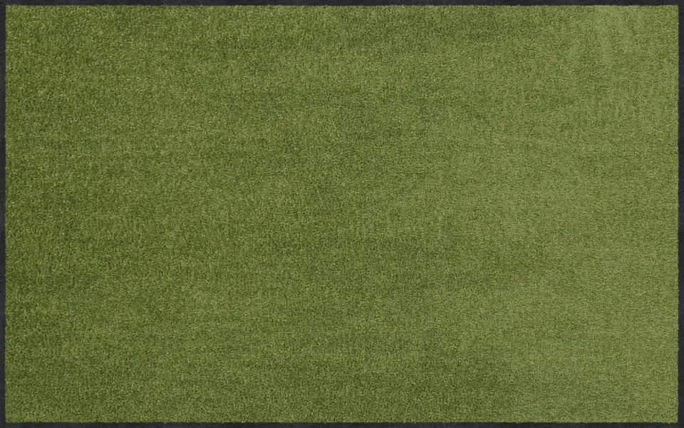 salonloewe-salbei-l-ufer-75-x-120-cm-minimalistischer-gr-ner-l-ufer-made-in-germ image 1