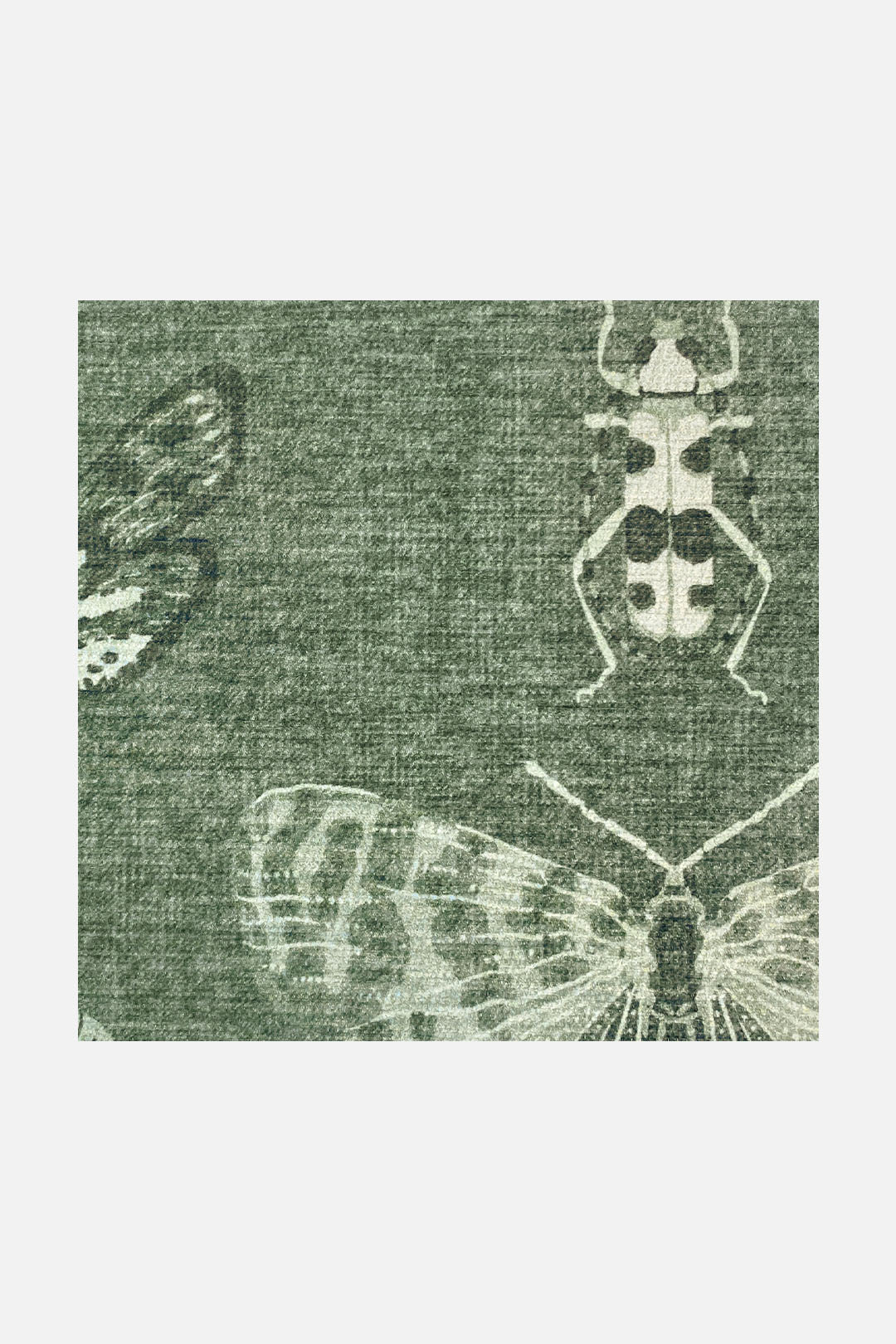 teppana-schmetterling-salbei-waschbarer-teppich-gr-n image 3