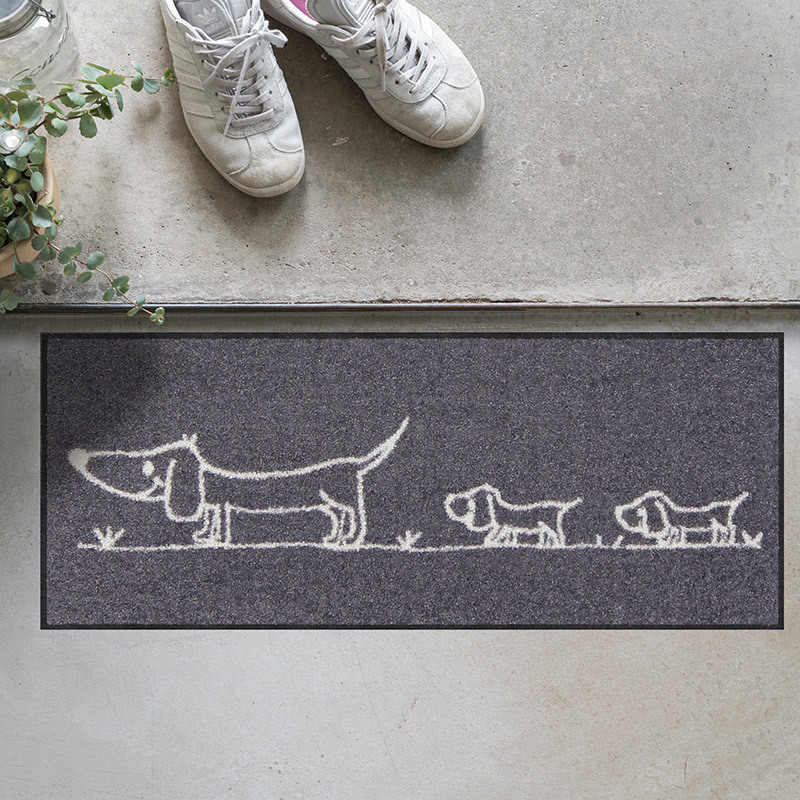 salonloewe-hereingedackelt-eingangsmatte-30-x-75-cm image 2
