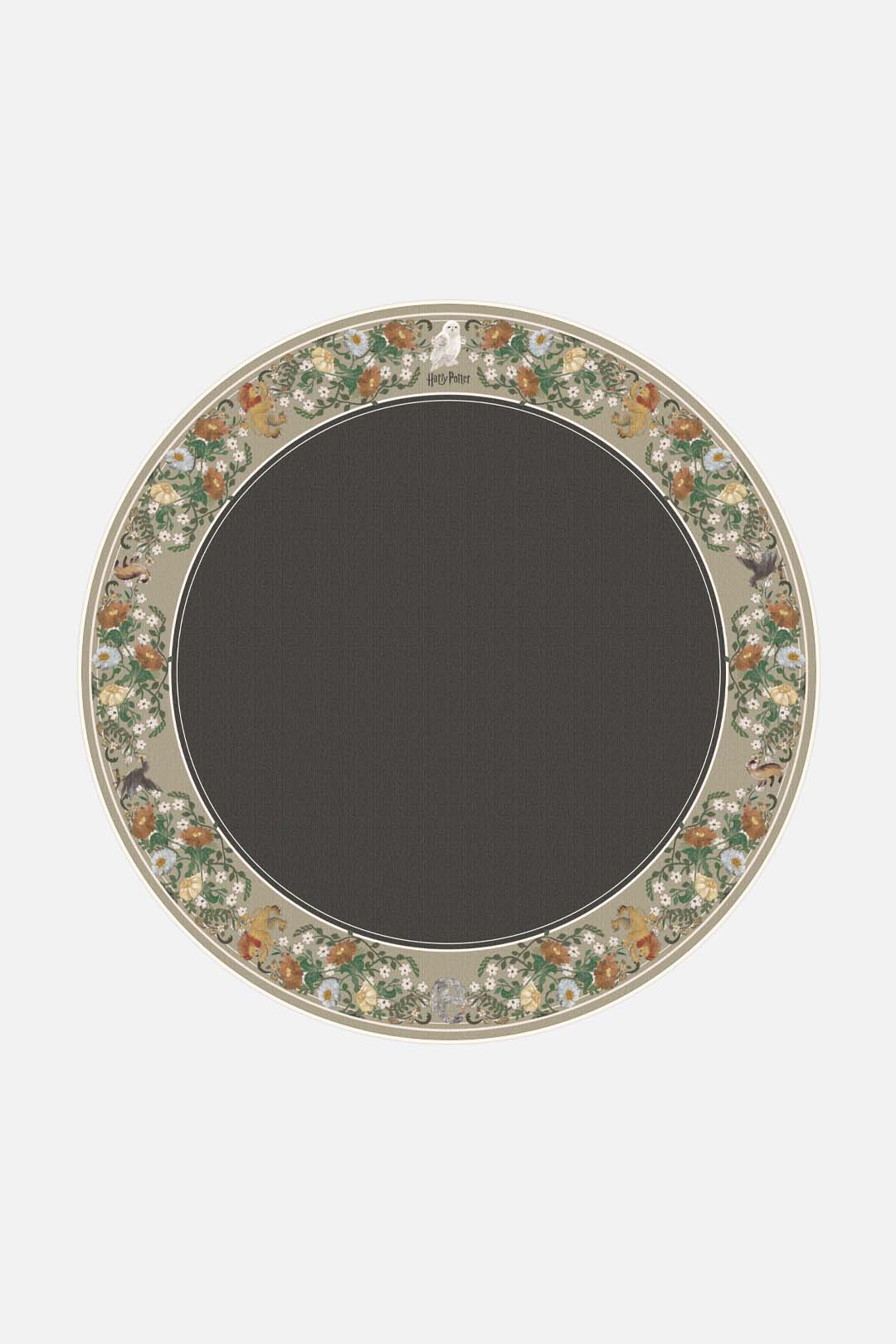 teppana-harry-potter-florensia-basalt-teppich-waschbarer-kinder-teppich-in-beige image 8