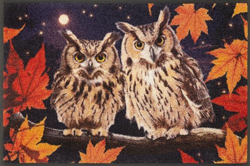 wash-dry-design-fu-matte-night-owls-50x75-cm-waschbar-innen-und-au-en-bunt image 7