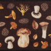salonloewe-momenti-di-felicita-teppich-waschbare-fu-matte-75-x-120-cm-polyamid-r image 7