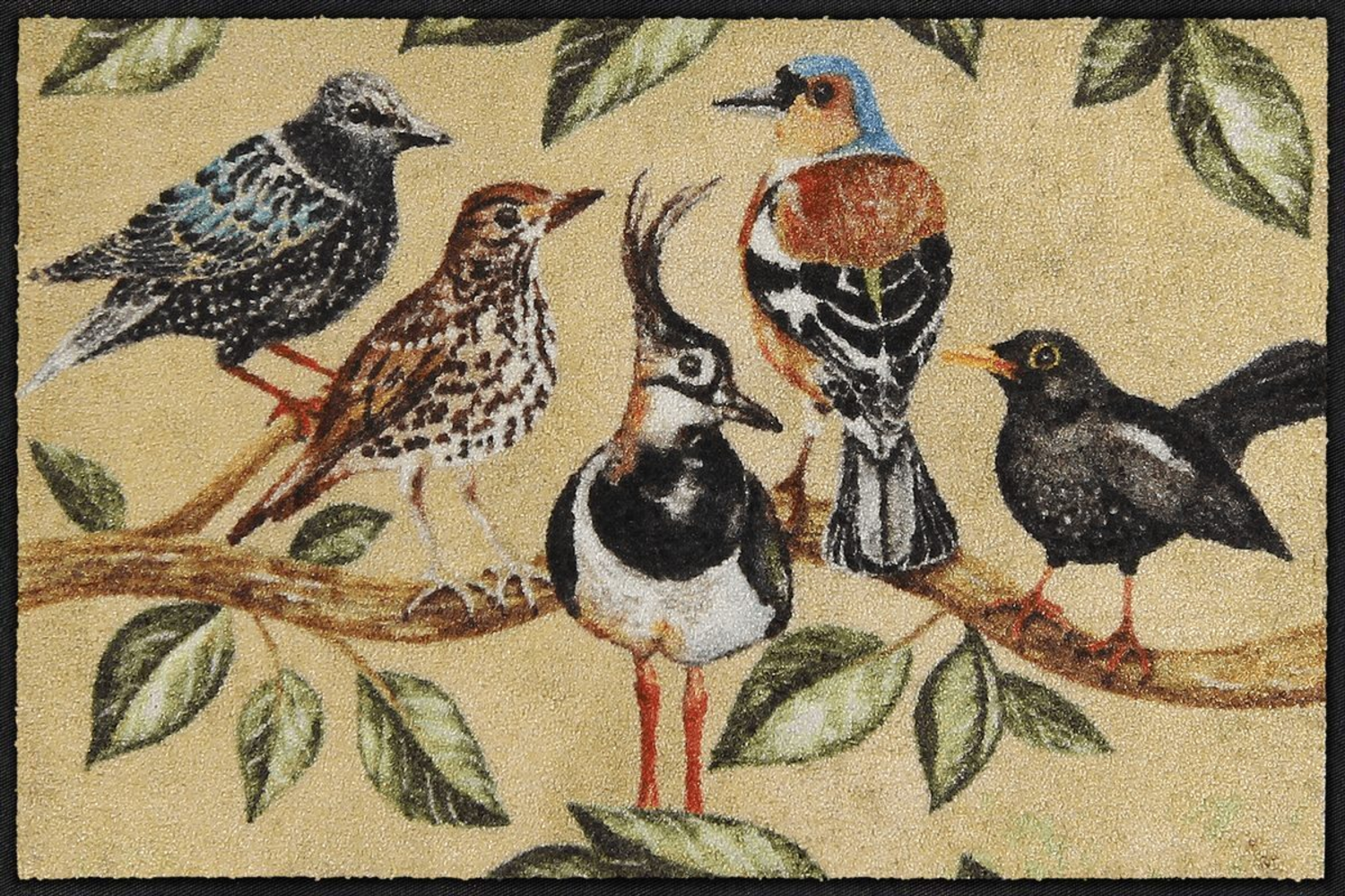 salonloewe-bird-song-eingangsmatte-50-x-75-cm image 1