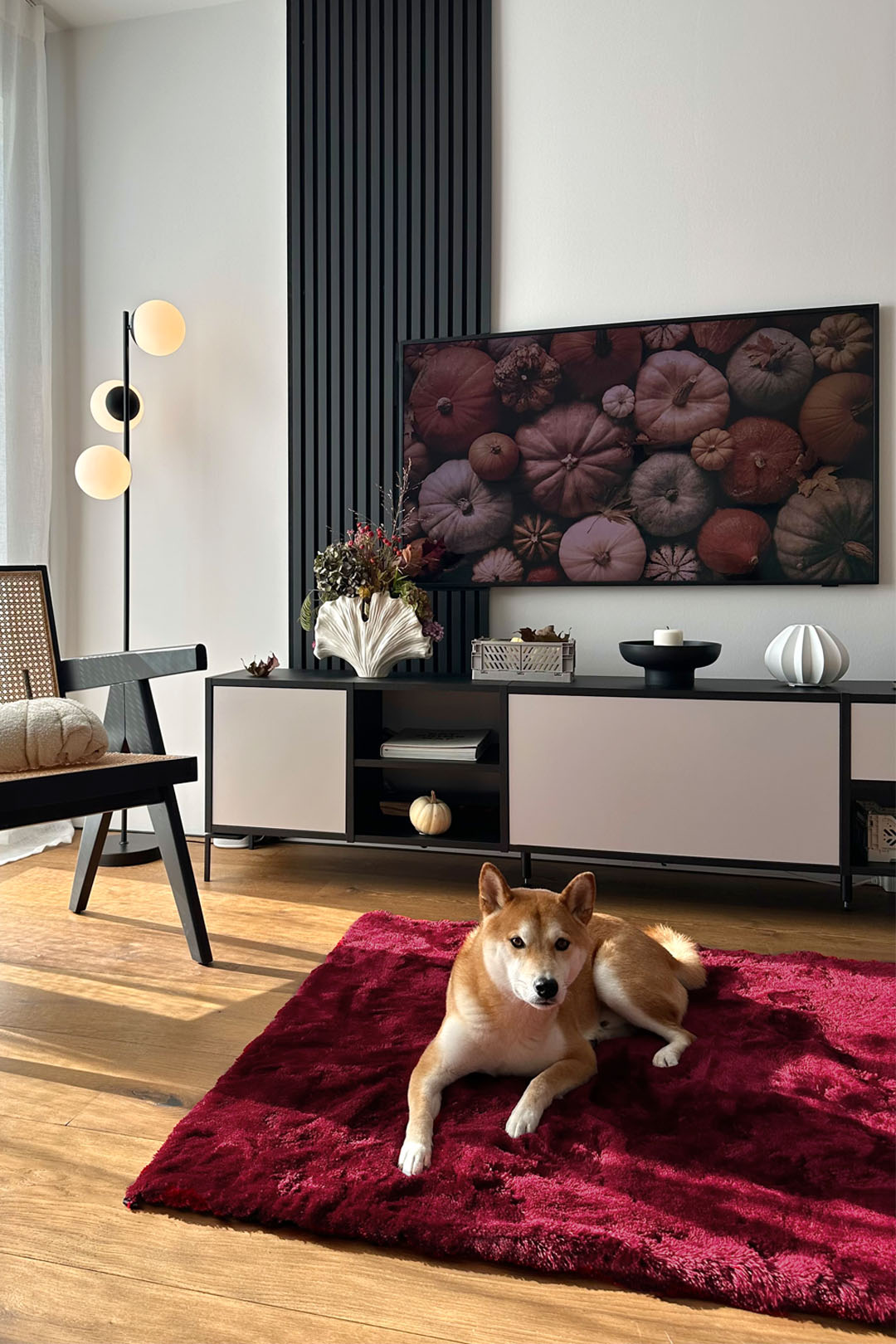 teppana-shaggy-mono-rubin-teppich-hochflor-waschbar-inkl-rutschfester-matte image 3