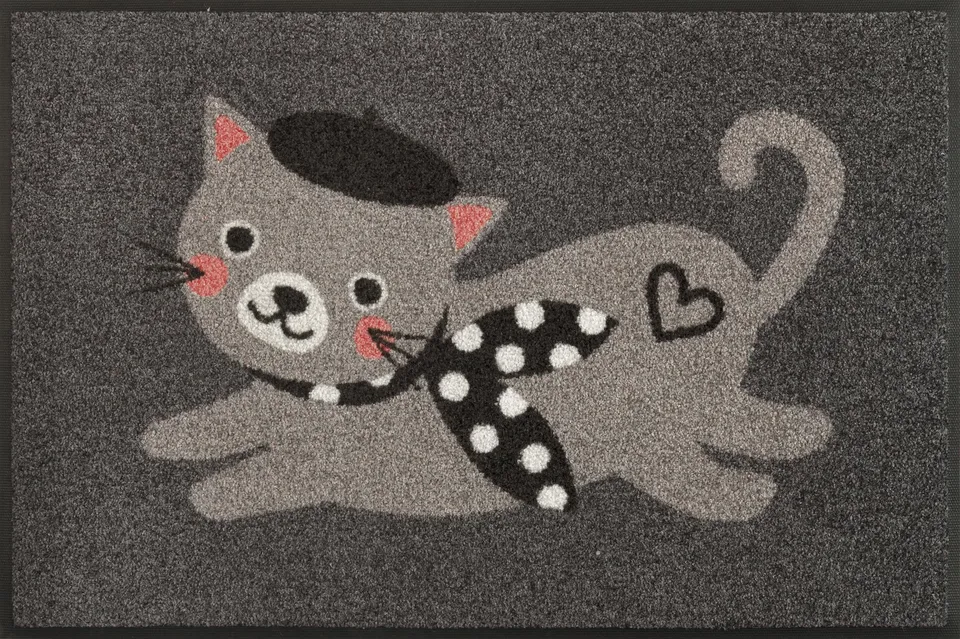 wash-dry-fu-matte-madame-minou-50x75cm-waschbare-design-sauberlaufmatte-innen-au image 1