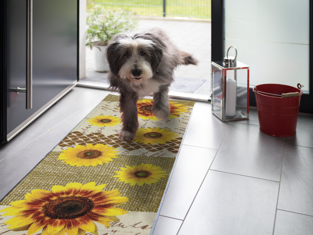 salonloewe-sunflower-garden-l-ufer-60-x-180-cm image 2
