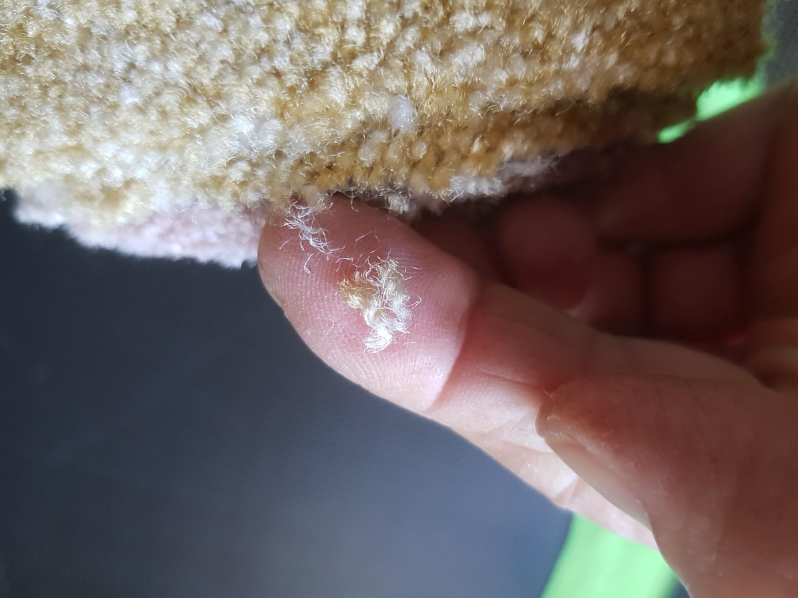 Ein echter Hingucker!