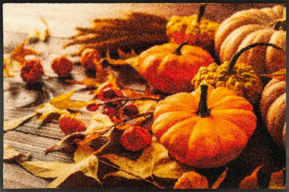 wash-dry-pumpkin-glow-fu-matte-50x75cm-waschbar image 1
