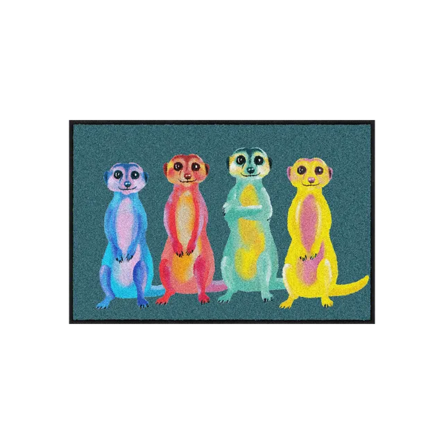 salonloewe-rainbow-meerkats-eingangsmatte-50-x-75-cm-waschbare-fu-matte-mit-erdm image 1