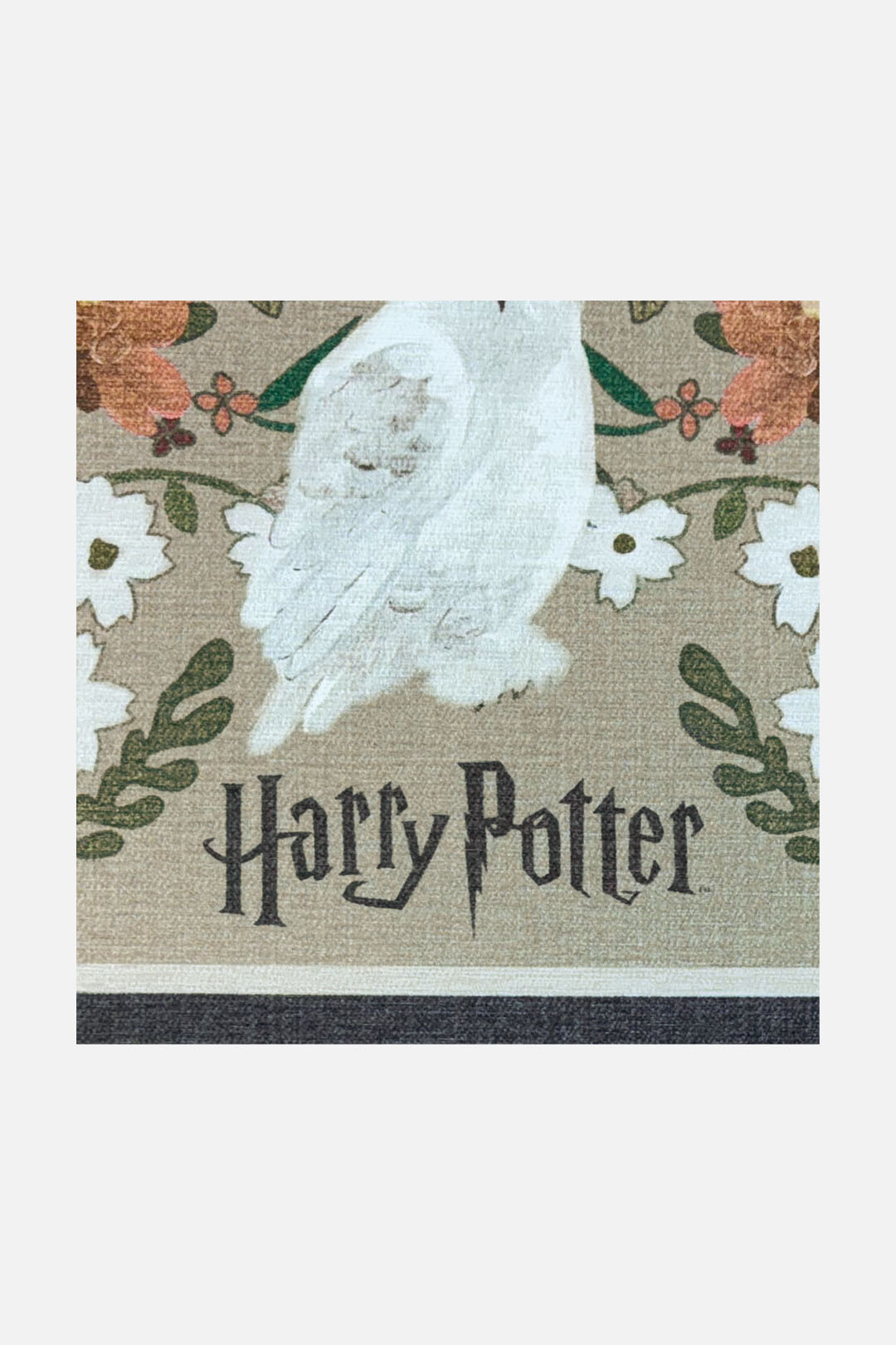 teppana-harry-potter-florensia-basalt-teppich-waschbarer-kinder-teppich-in-beige image 3