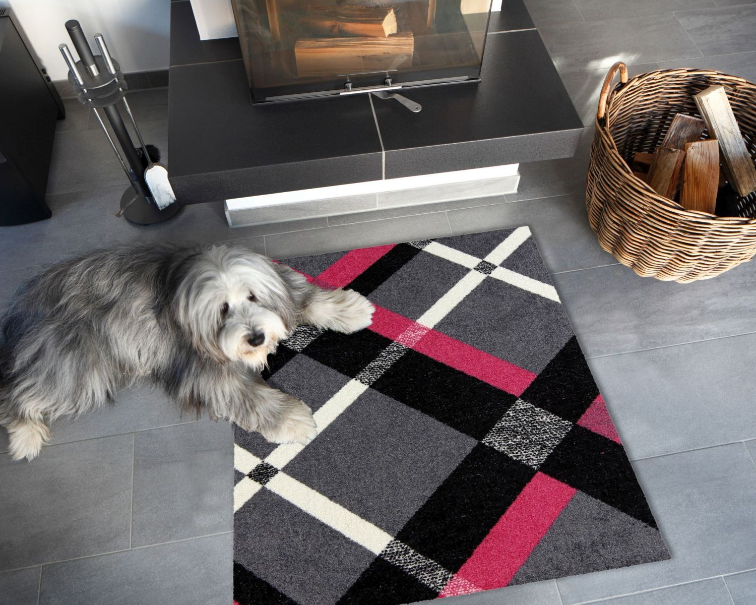 salonloewe-bente-grey-magenta-teppich-75-x-100-cm-moderner-teppich-in-grau-und-m image 2