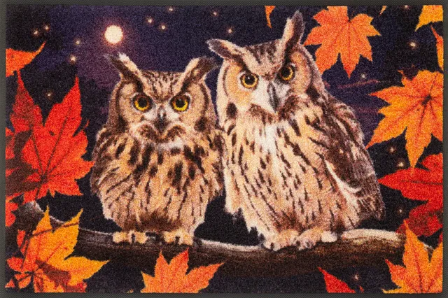 wash-dry-design-fu-matte-night-owls-50x75-cm-waschbar-innen-und-au-en-bunt image 1