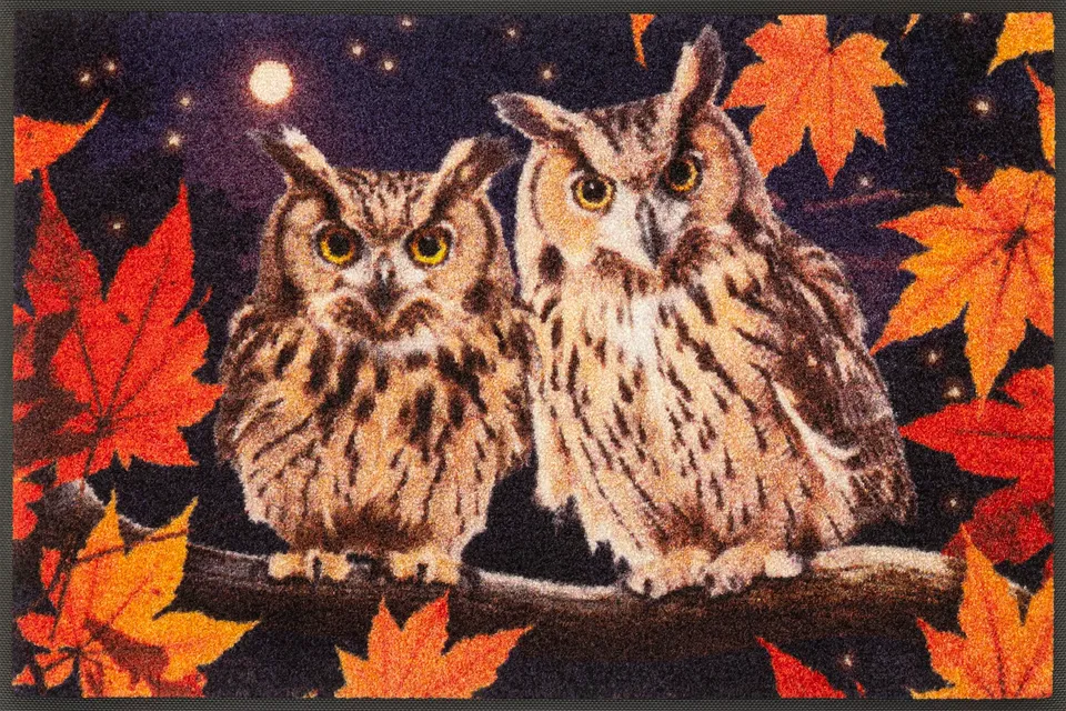 wash-dry-design-fu-matte-night-owls-50x75-cm-waschbar-innen-und-au-en-bunt image 1